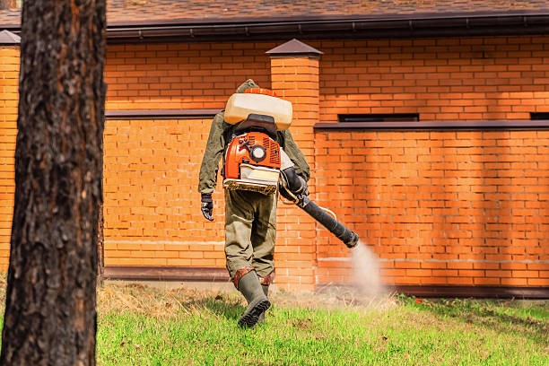 Bed Bug Clearance Verification and Documentation in Shrub Oak